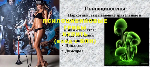 2c-b Покачи