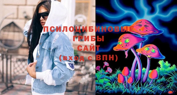 бошки Пролетарск