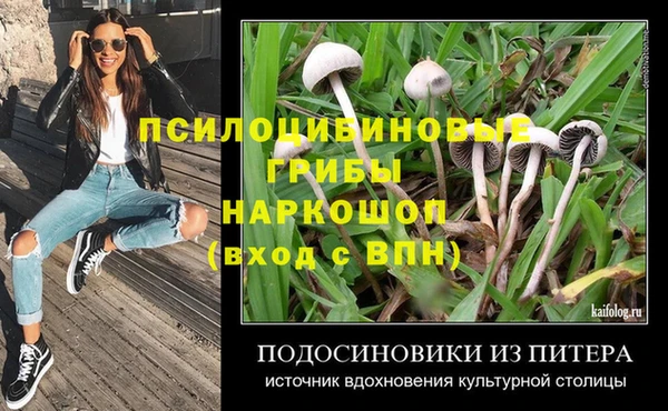 spice Горно-Алтайск