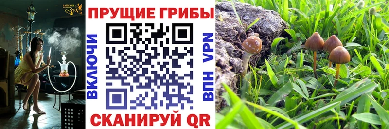 Купить Плавск Галлюциногенные грибы MAGIC MUSHROOMS